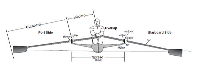 oars set inboard sculls.png